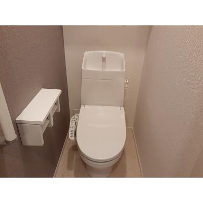 セレーノヴィータ 102【管理NO：1-026926301-01020】 ★家具家電は申し込み後に搬入します★ ★2026年09月中旬入居可能★の物件画像