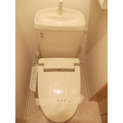 アルバテラス 102【管理NO：1-017926501-01020】 ★家具家電は申し込み後に搬入します★ ★2026年10月下旬入居可能★の物件画像