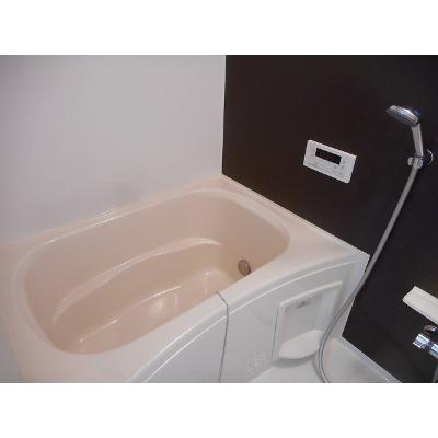 サイプレス 202【管理NO：1-022842201-02020】 ★家具家電は申し込み後に搬入します★ ★2026年10月上旬入居可能★の物件画像