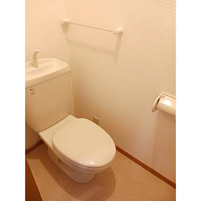 カーサ　ポッツォ 101【管理NO：1-012185301-01010】 ★家具家電は申し込み後に搬入します★ ★2026年10月中旬入居可能★の物件画像