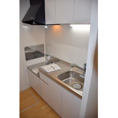 インテグラルＹＫ 102【管理NO：1-021942301-01020】 ★家具家電は申し込み後に搬入します★の物件画像