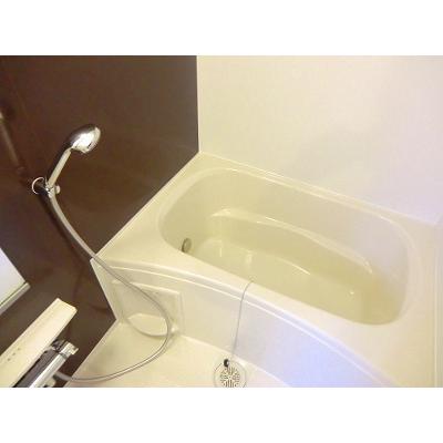 グレース七番館 205【管理NO：1-020628101-02050】 ★家具家電は申し込み後に搬入します★ ★2026年10月中旬入居可能★の物件画像