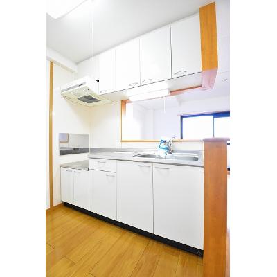 エクセレンシィ 803【管理NO：1-013588801-08030】 ★家具家電は申し込み後に搬入します★ ★2026年10月中旬入居可能★の物件画像