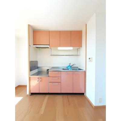 アクエスタ 204【管理NO：1-013015201-02040】 ★家具家電は申し込み後に搬入します★ ★2026年11月中旬入居可能★の物件画像