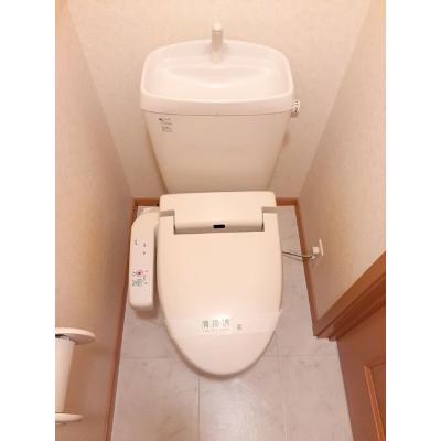 アクエスタ 204【管理NO：1-013015201-02040】 ★家具家電は申し込み後に搬入します★ ★2026年11月中旬入居可能★の物件画像