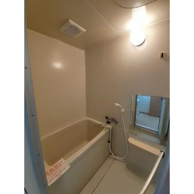 プラドール田川 203【管理NO：1-002939601-02030】 ★家具家電は申し込み後に搬入します★ ★2026年10月中旬入居可能★の物件画像