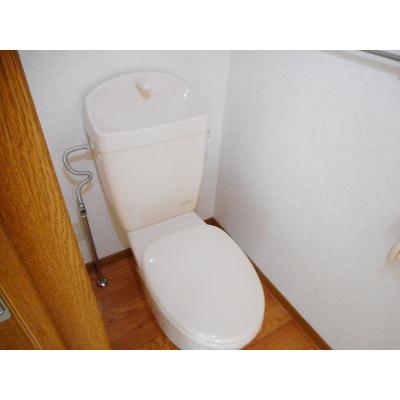 アルファルームＹＫ 202【管理NO：1-011596801-02020】 ★家具家電は申し込み後に搬入します★の物件画像