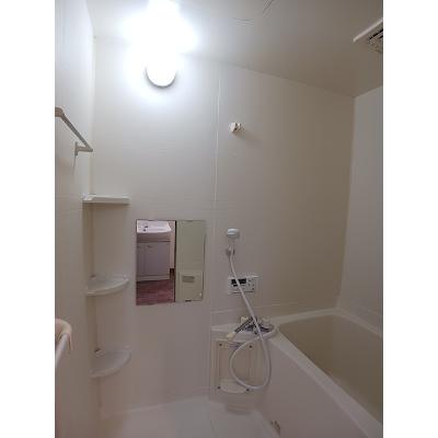セルフィ・Ｔ 202【管理NO：1-011162601-02020】 ★家具家電は申し込み後に搬入します★の物件画像