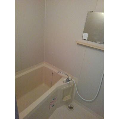 セレニオンハイツ 302【管理NO：1-003802401-03020】 ★家具家電は申し込み後に搬入します★ ★2026年11月中旬入居可能★の物件画像