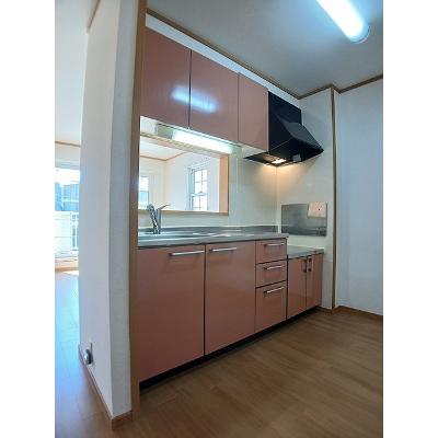 Ｂｅｌｌｅ　Ａｎｇｅ 201【管理NO：1-013409501-02010】 ★家具家電は申し込み後に搬入します★の物件画像