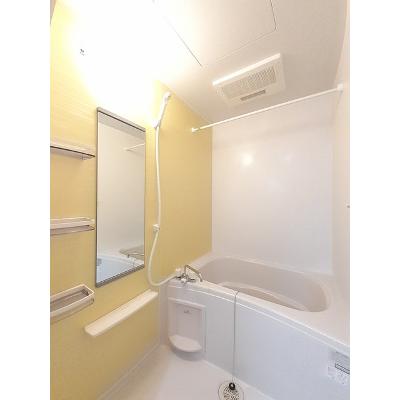 クレド 101【管理NO：1-019329801-01010】 ★家具家電は申し込み後に搬入します★ ★2026年10月下旬入居可能★の物件画像