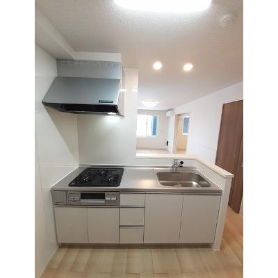 ランパスキャット 101【管理NO：1-026769201-01010】 ★家具家電は申し込み後に搬入します★ ★2026年11月中旬入居可能★の物件画像