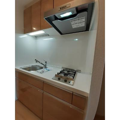プラム・アズール 304【管理NO：1-026517001-03040】 ★家具家電は申し込み後に搬入します★の物件画像