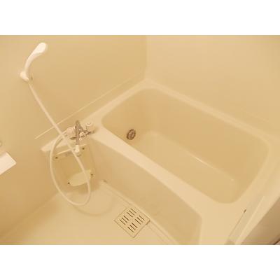 サニーヒルズ 101【管理NO：1-009683001-01010】 ★家具家電は申し込み後に搬入します★ ★2026年11月中旬入居可能★の物件画像