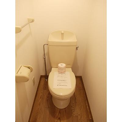 サニーヒルズ 101【管理NO：1-009683001-01010】 ★家具家電は申し込み後に搬入します★ ★2026年11月中旬入居可能★の物件画像