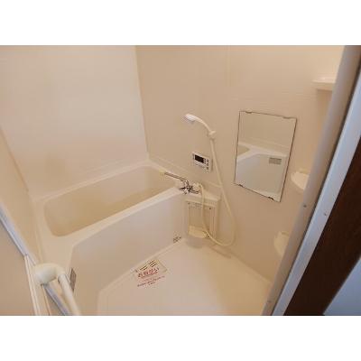 スカイ　ピア 203【管理NO：1-011513001-02030】 ★家具家電は申し込み後に搬入します★ ★2026年11月上旬入居可能★の物件画像