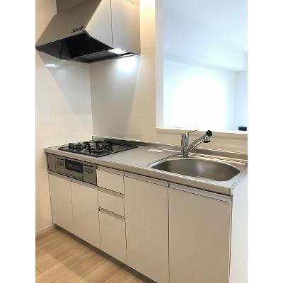 ミントベリー 202【管理NO：1-025620001-02020】 ★家具家電は申し込み後に搬入します★の物件画像