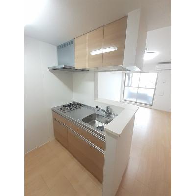 セントラルヒルズ昭和町 607【管理NO：1-026124101-06060】 ★家具家電は申し込み後に搬入します★ ★2026年10月下旬入居可能★の物件画像
