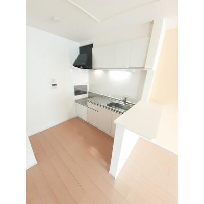 グランツ　ミツワ 203【管理NO：1-018975901-02030】 ★家具家電は申し込み後に搬入します★ ★2026年11月上旬入居可能★の物件画像
