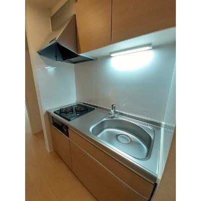 シリウス柏 201【管理NO：1-025006601-02010】 ★家具家電は申し込み後に搬入します★ ★2026年11月中旬入居可能★の物件画像