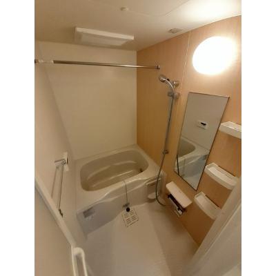 シリウス柏 201【管理NO：1-025006601-02010】 ★家具家電は申し込み後に搬入します★ ★2026年11月中旬入居可能★の物件画像