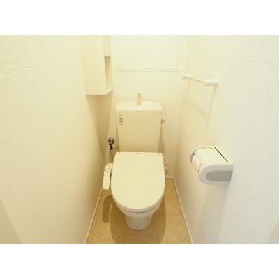 コスモス 206【管理NO：1-021527301-02060】 ★家具家電は申し込み後に搬入します★ ★2026年11月中旬入居可能★の物件画像