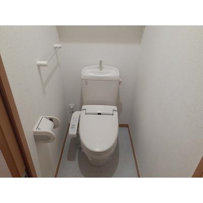 パインプラザ 305【管理NO：1-014315401-03050】 ★家具家電は申し込み後に搬入します★ ★2026年10月上旬入居可能★の物件画像