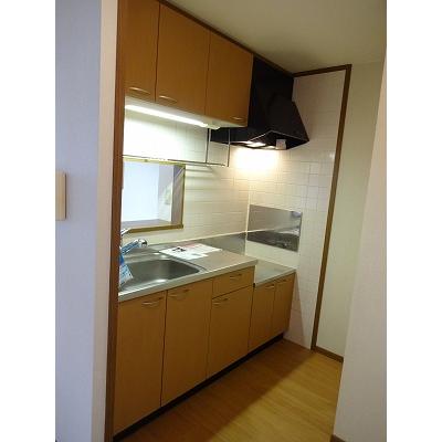 サンライトＫⅢ 102【管理NO：1-011703201-01020】 ★家具家電は申し込み後に搬入します★ ★2026年10月下旬入居可能★の物件画像
