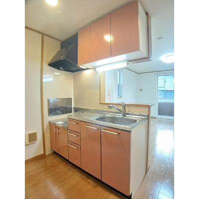 ドミール　ラフィネ　Ａ 101【管理NO：1-013403501-01010】 ★家具家電は申し込み後に搬入します★の物件画像