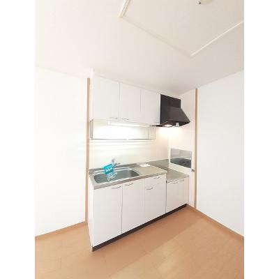 エステート・ステラ１号館 203【管理NO：1-014691701-02030】 ★家具家電は申し込み後に搬入します★ ★2026年11月中旬入居可能★の物件画像