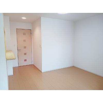 リバーサイドヒル 302【管理NO：1-019660201-03020】 ★家具家電は申し込み後に搬入します★の物件画像