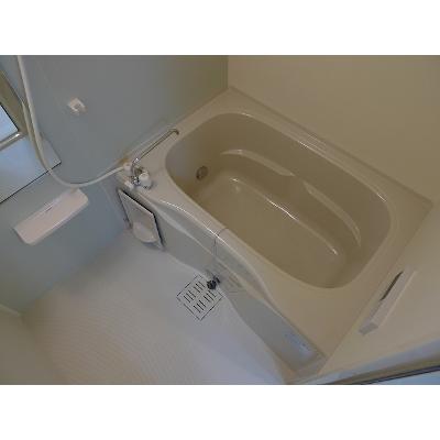 ヴェスティートⅡ 202【管理NO：1-019724801-02020】 ★家具家電は申し込み後に搬入します★ ★2026年11月下旬入居可能★の物件画像