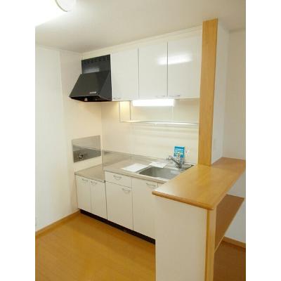 ヴィラ　グレイスフル　Ⅰ 203【管理NO：1-013759001-02030】 ★家具家電は申し込み後に搬入します★ ★2026年11月中旬入居可能★の物件画像