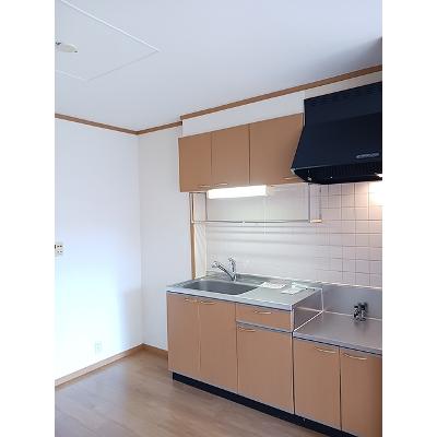 アナ・ビレッジ 202【管理NO：1-012332201-02020】 ★家具家電は申し込み後に搬入します★の物件画像