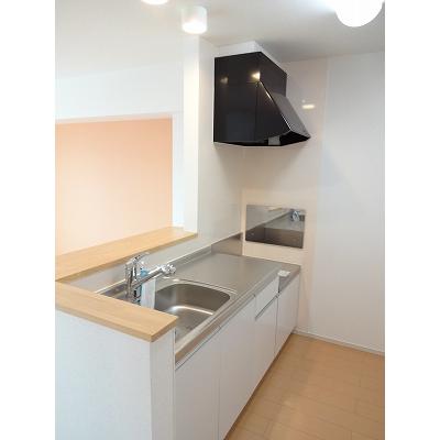 サウザンドサニー 202【管理NO：1-019086501-02020】 ★家具家電は申し込み後に搬入します★ ★2026年10月中旬入居可能★の物件画像