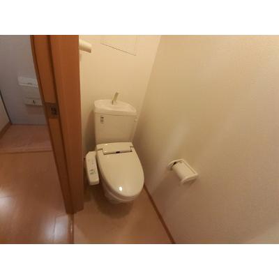 ガーラ鳴尾 203【管理NO：1-015296001-02030】 ★家具家電は申し込み後に搬入します★ ★2026年11月上旬入居可能★の物件画像