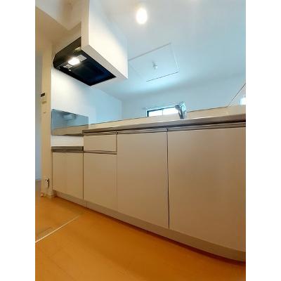 カルム三百地 102【管理NO：1-020565101-01020】 ★家具家電は申し込み後に搬入します★の物件画像