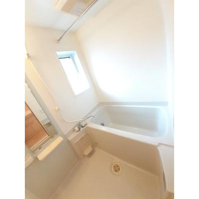 エアリーサンシャイン 101【管理NO：1-014575101-01010】 ★家具家電は申し込み後に搬入します★ ★2026年11月上旬入居可能★の物件画像