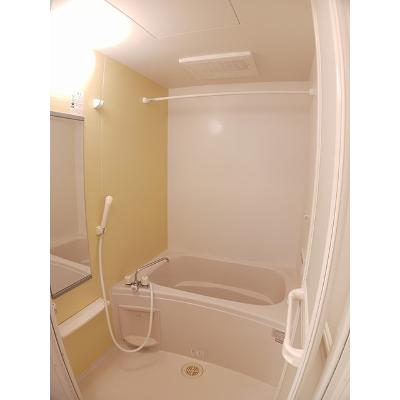 エルヴィスタ 204【管理NO：1-017923201-02040】 ★家具家電は申し込み後に搬入します★ ★2026年11月中旬入居可能★の物件画像