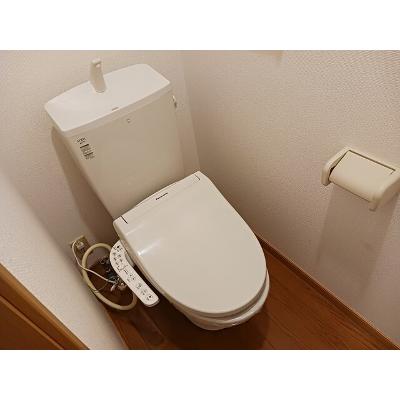 トリーハウス 101【管理NO：1-011991601-01010】 ★家具家電は申し込み後に搬入します★ ★2026年11月中旬入居可能★の物件画像