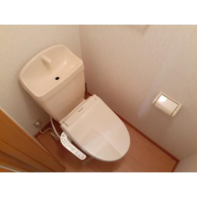 ＰＥＡＣＥ 201【管理NO：1-012066301-02010】 ★家具家電は申し込み後に搬入します★ ★2026年11月上旬入居可能★の物件画像