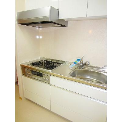 ライジング・サン 403【管理NO：1-017559501-04030】 ★家具家電は申し込み後に搬入します★ ★2026年10月下旬入居可能★の物件画像