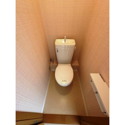 TR枚方２【ネット無料・室内大規模改装・新規OPEN・関西医大病院まで徒歩9分・淀川河川公園まで徒歩2分】の物件画像