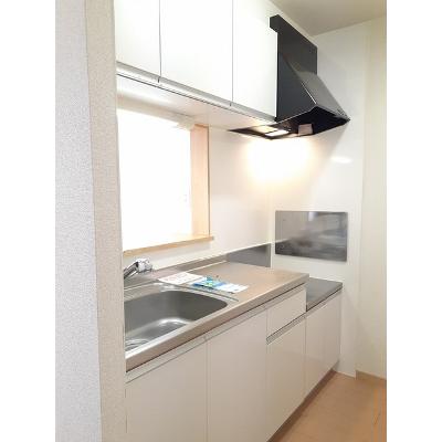 プラシードⅡ 201【管理NO：1-016344401-02010】 ★家具家電は申し込み後に搬入します★の物件画像
