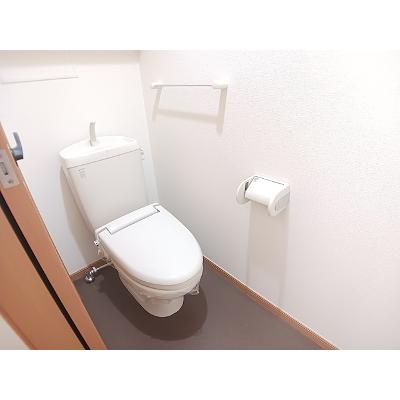セレーノ 202【管理NO：1-013921501-02020】 ★家具家電は申し込み後に搬入します★の物件画像