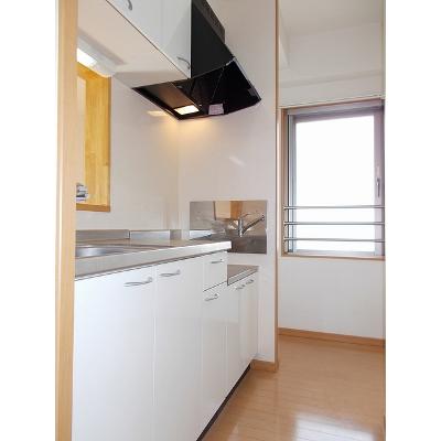シエーネ玉川 307【管理NO：1-014610301-03060】 ★家具家電は申し込み後に搬入します★ ★2026年10月中旬入居可能★の物件画像