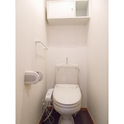 シエーネ玉川 307【管理NO：1-014610301-03060】 ★家具家電は申し込み後に搬入します★ ★2026年10月中旬入居可能★の物件画像