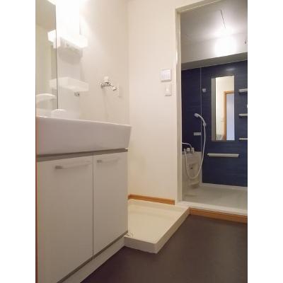 シエーネ玉川 307【管理NO：1-014610301-03060】 ★家具家電は申し込み後に搬入します★ ★2026年10月中旬入居可能★の物件画像