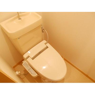 エムズフォレスト 206【管理NO：1-004274101-02050】 ★家具家電は申し込み後に搬入します★ ★2026年10月中旬入居可能★の物件画像