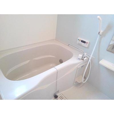 ブルーコルモ 103【管理NO：1-015486401-01030】 ★家具家電は申し込み後に搬入します★ ★2026年11月上旬入居可能★の物件画像